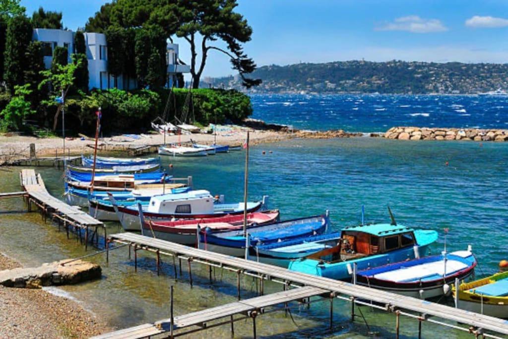 Juan Les Pins 2 Pieces 50M2 Daire Antibes Dış mekan fotoğraf